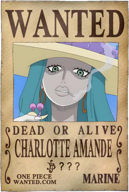 Affiche WANTED de Charlotte Amande - montant inconnu de Berries