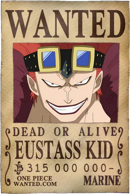 Affiche WANTED de Eustass Kid - 315000000 Berries
