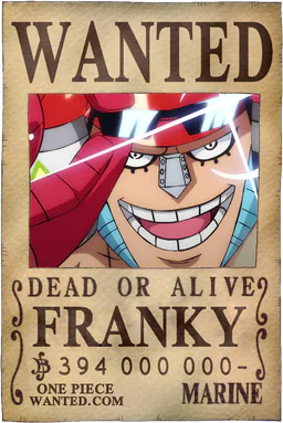 Affiche WANTED de Franky - 394000000 Berries