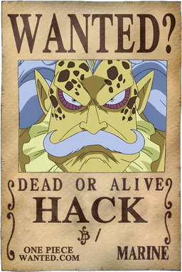 Affiche WANTED de Hack - existence non officiellement confirmée
