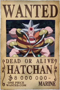 Affiche WANTED de Hatchan - 8000000 Berries