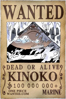 Affiche WANTED de Kinoko - 100000000 Berries