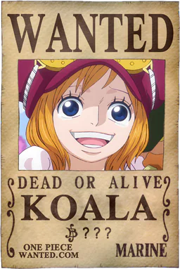 Affiche WANTED de Koala - montant inconnu de Berries