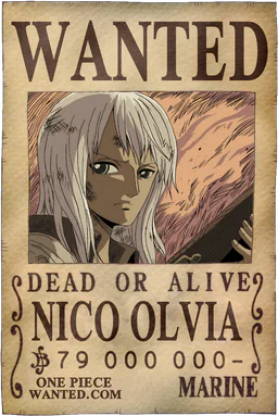 Affiche WANTED de Nico Olvia - 79000000 Berries