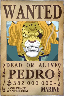 Affiche WANTED de Pedro - 382000000 Berries