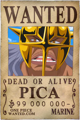 Affiche WANTED de Pica - 99000000 Berries