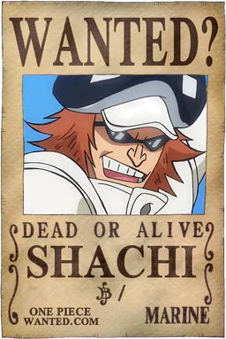 WANTED poster of Shachi - unconfirmed existence