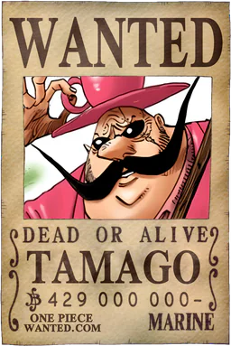 Affiche WANTED de Tamago - 429000000 Berries