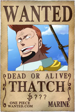 Affiche WANTED de Thatch - montant inconnu de Berries