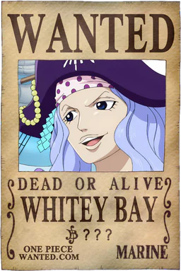 Affiche WANTED de Whitey Bay - montant inconnu de Berries