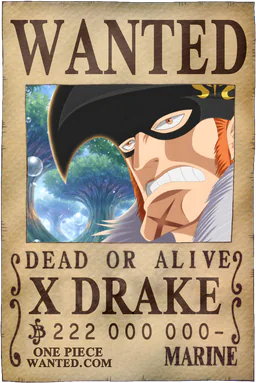 Affiche WANTED de X Drake - 222000000 Berries