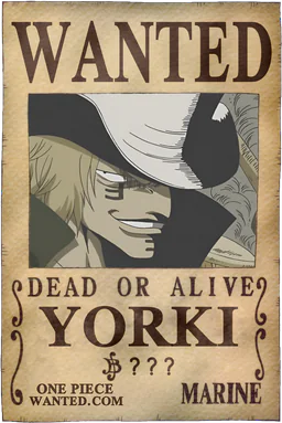 Affiche WANTED de Yorki - montant inconnu de Berries