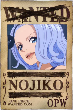 Affiche WANTED neutralisée de Nojiko