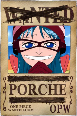 Affiche WANTED neutralisée de Porche