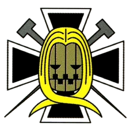 Hawkins Pirates's Jolly Roger